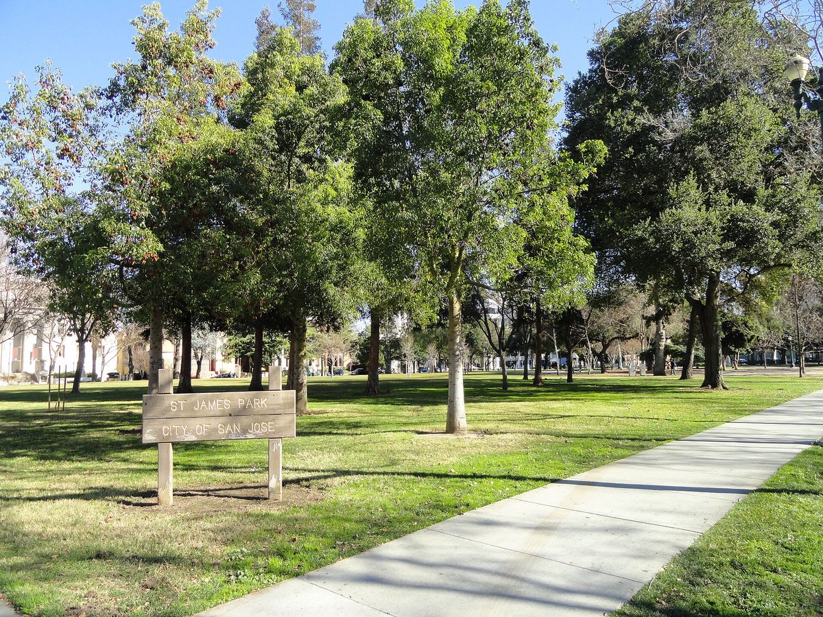 Lawns and trees in St. James Park