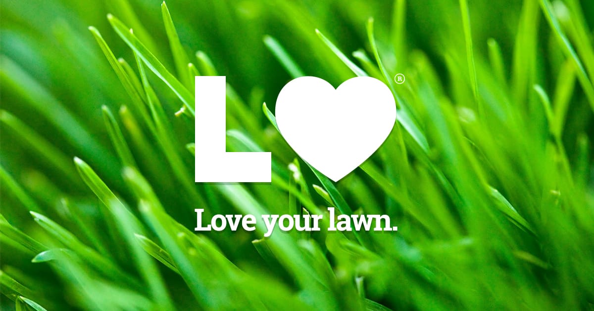 Landscapers & Gardeners in Downtown San Jose